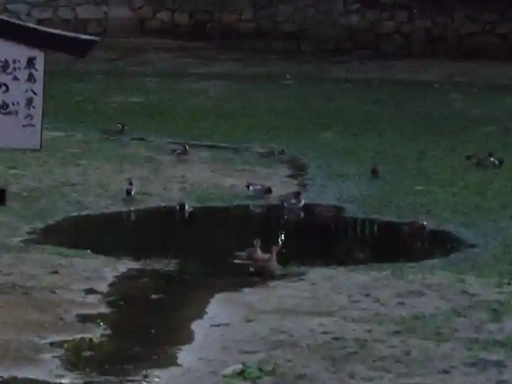 厳島神社(広島県)