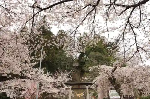 田村神社の景色