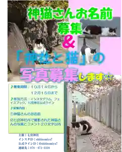 七宮神社(兵庫県)(2022年10月14日(金) 15時22分27秒投稿)