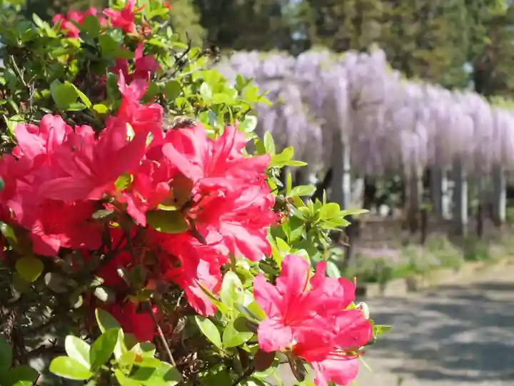 三大神社のその他建物