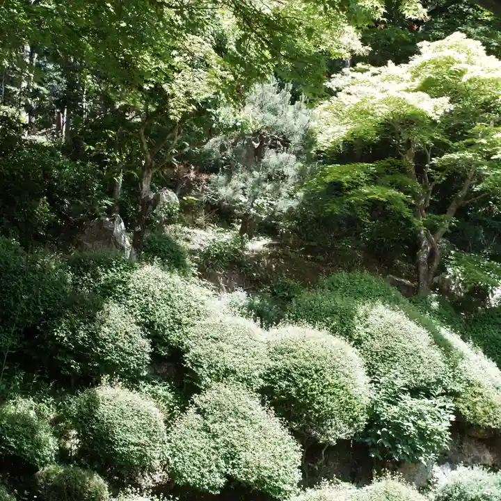 柳谷観音 楊谷寺(京都府)