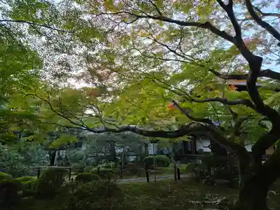 青蓮院門跡(京都府)