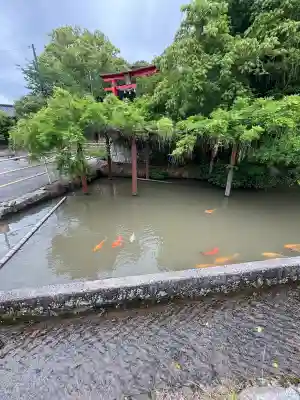 嘉川八幡宮(山口県)