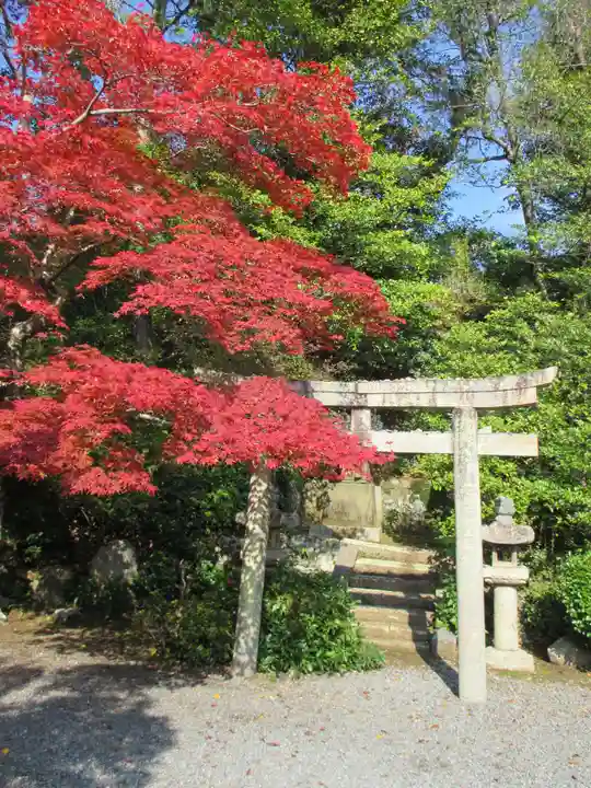 光明寺(粟生光明寺)の鳥居