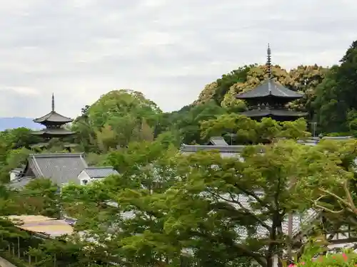 當麻寺 奥院の景色