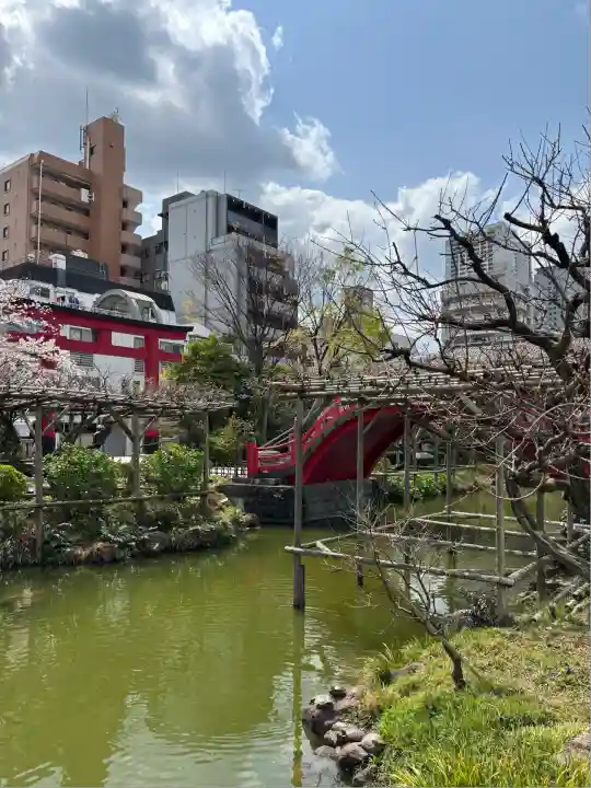 亀戸天神社(東京都)