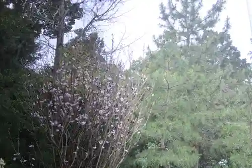 寒川神社(神奈川県)