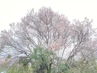 蓮蔵寺(福島県)