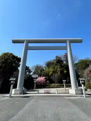 櫻木神社の{uncategorized: "未分類", other: "その他", undefined: "問題あり", building: "その他建物", grave: "お墓", sacred_gate: "鳥居", guardian: "狛犬", statue: "像", buddha: "仏像", history: "歴史", nature: "自然", garden: "庭園", animal: "動物", pagoda: "塔", temizu: "手水舎", mountain_gate: "山門・神門", sanctuary: "本殿・本堂", subordinate: "末社・摂社", art: "芸術", scenery: "景色", jizo: "地蔵", ema: "絵馬", goshuin: "御朱印", omikuji: "おみくじ", items: "授与品その他", amulet: "お守り", goshuincho: "御朱印帳", eats: "食事", festival: "お祭り", votive_dance: "神楽", shichigosan: "七五三参", wedding: "結婚式", experience: "体験その他", initially: "初詣", around: "周辺", anti_infection: "感染症対策"}