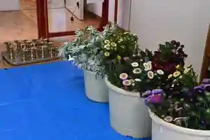 宝光寺の自然(2021年08月19日(木) 09時53分55秒投稿)