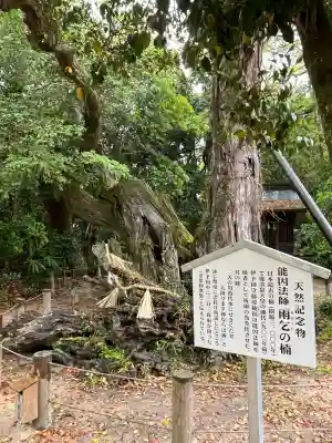 大山祇神社(愛媛県)