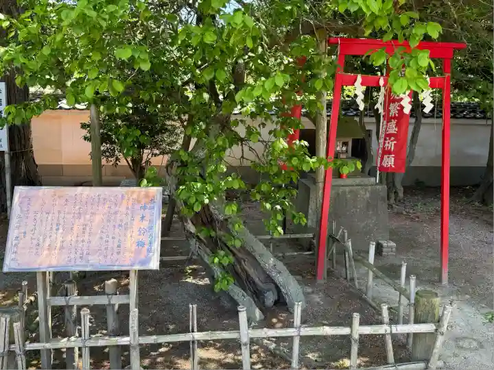 弘道館鹿島神社(茨城県)