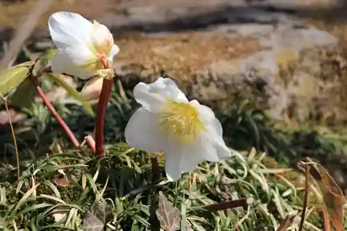 長命寺の庭園