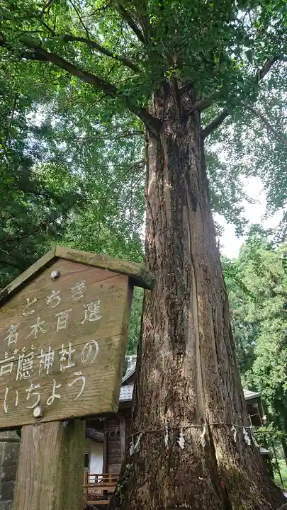 戸隠神社の自然