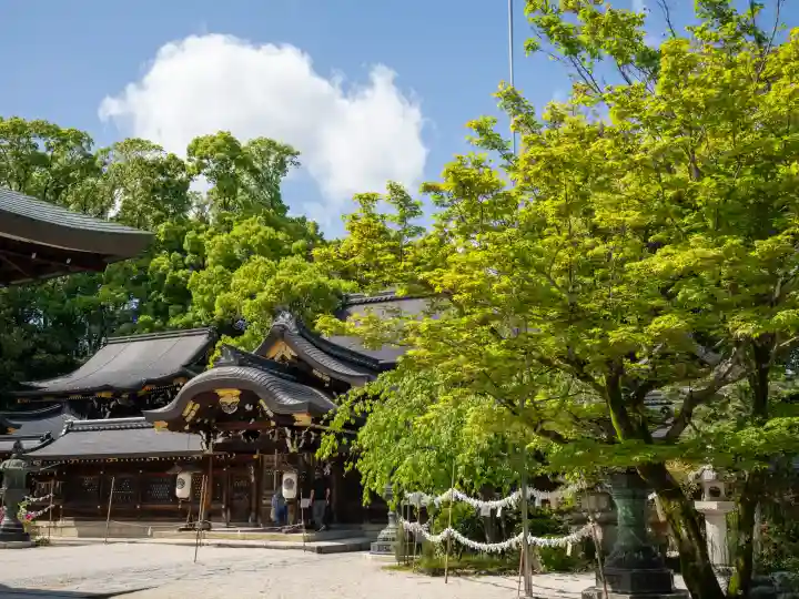 今宮神社の{uncategorized: "未分類", other: "その他", undefined: "問題あり", building: "その他建物", grave: "お墓", sacred_gate: "鳥居", guardian: "狛犬", statue: "像", buddha: "仏像", history: "歴史", nature: "自然", garden: "庭園", animal: "動物", pagoda: "塔", temizu: "手水舎", mountain_gate: "山門・神門", sanctuary: "本殿・本堂", subordinate: "末社・摂社", art: "芸術", scenery: "景色", jizo: "地蔵", ema: "絵馬", goshuin: "御朱印", omikuji: "おみくじ", items: "授与品その他", amulet: "お守り", goshuincho: "御朱印帳", eats: "食事", festival: "お祭り", votive_dance: "神楽", shichigosan: "七五三参", wedding: "結婚式", experience: "体験その他", initially: "初詣", around: "周辺", anti_infection: "感染症対策"}