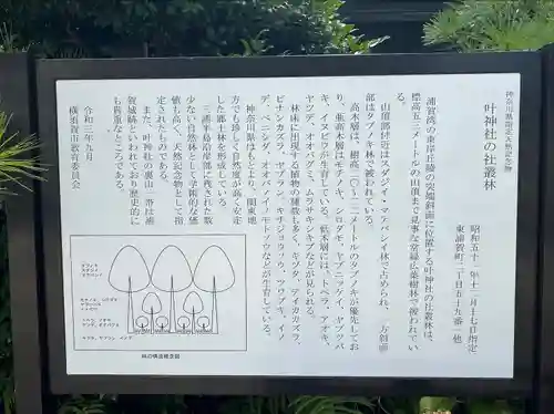 叶神社（東叶神社）(神奈川県)