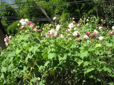 長岳寺(奈良県)