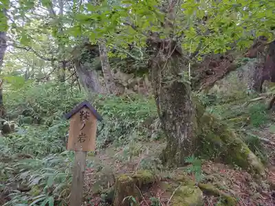 天の岩戸(飛騨一宮水無神社奥宮)の自然
