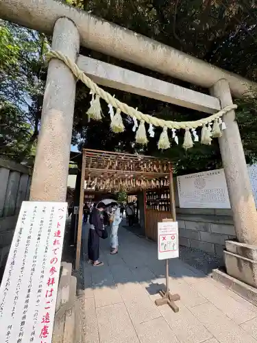 川越氷川神社(埼玉県)