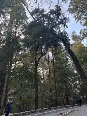 伊勢神宮内宮（皇大神宮）の{uncategorized: "未分類", other: "その他", undefined: "問題あり", building: "その他建物", grave: "お墓", sacred_gate: "鳥居", guardian: "狛犬", statue: "像", buddha: "仏像", history: "歴史", nature: "自然", garden: "庭園", animal: "動物", pagoda: "塔", temizu: "手水舎", mountain_gate: "山門・神門", sanctuary: "本殿・本堂", subordinate: "末社・摂社", art: "芸術", scenery: "景色", jizo: "地蔵", ema: "絵馬", goshuin: "御朱印", omikuji: "おみくじ", items: "授与品その他", amulet: "お守り", goshuincho: "御朱印帳", eats: "食事", festival: "お祭り", votive_dance: "神楽", shichigosan: "七五三参", wedding: "結婚式", experience: "体験その他", initially: "初詣", around: "周辺", anti_infection: "感染症対策"}