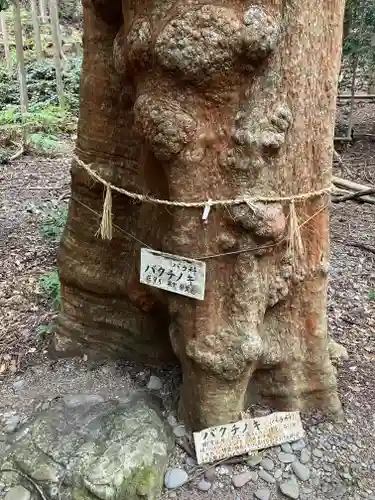 豊浦神社(三重県)