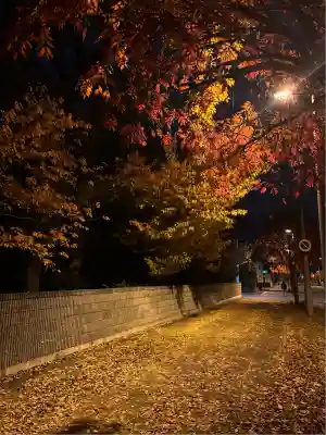 新琴似神社(北海道)