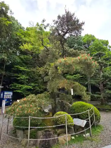大興寺の自然