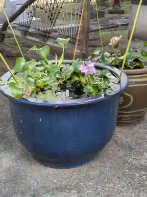 光明寺(東京都)