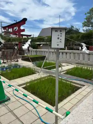東京羽田 穴守稲荷神社(東京都)