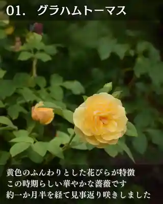 宝光寺(北海道)