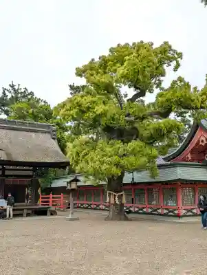 住吉大社(大阪府)
