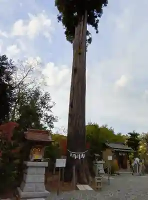 鶴峯八幡宮(千葉県)