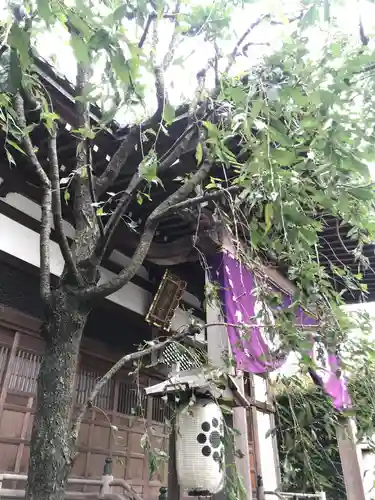 覚證寺の本殿・本堂