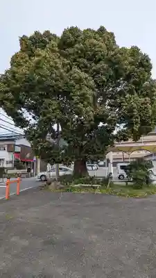岩屋神社大宅御旅所(京都府)