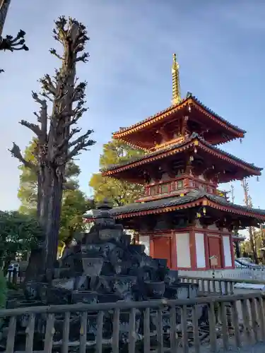 宝仙寺のその他建物