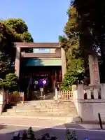 東京大神宮の鳥居