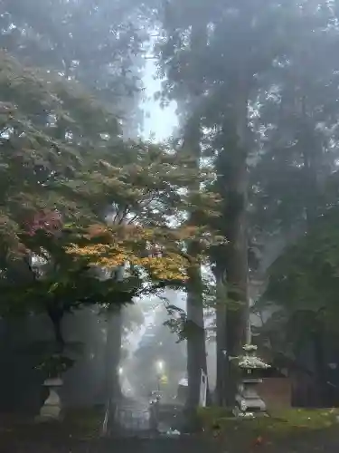 金櫻神社(山梨県)