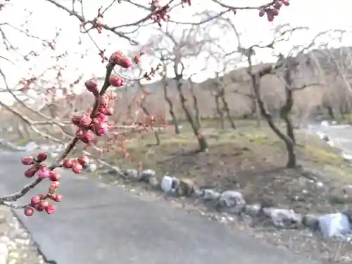 竜雲寺(三重県)