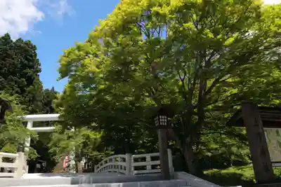 土津神社|こどもと出世の神さまの鳥居