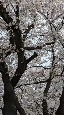 本隆寺（本妙興隆寺）(京都府)