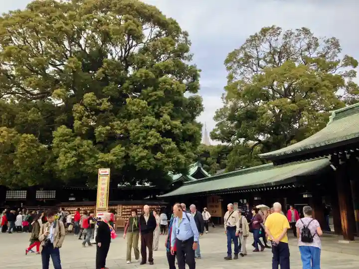 明治神宮(東京都)