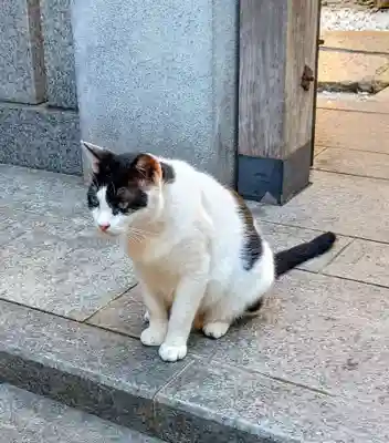 法善寺(大阪府)