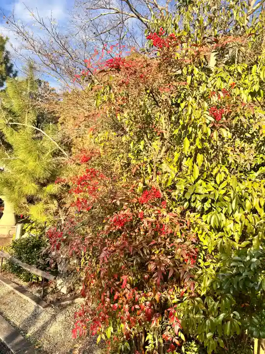 京都乃木神社(京都府)