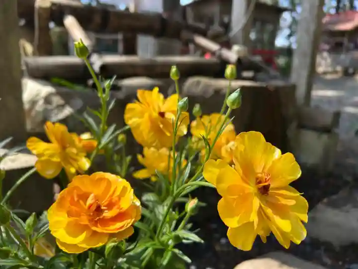 坪沼八幡神社(宮城県)