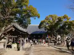 大樹寺（松安院大樹寺）(愛知県)