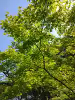 東慶寺(神奈川県)