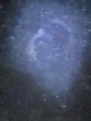 方広寺のその他建物