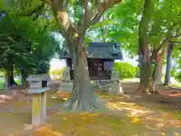 熱田社(西溝口)の自然