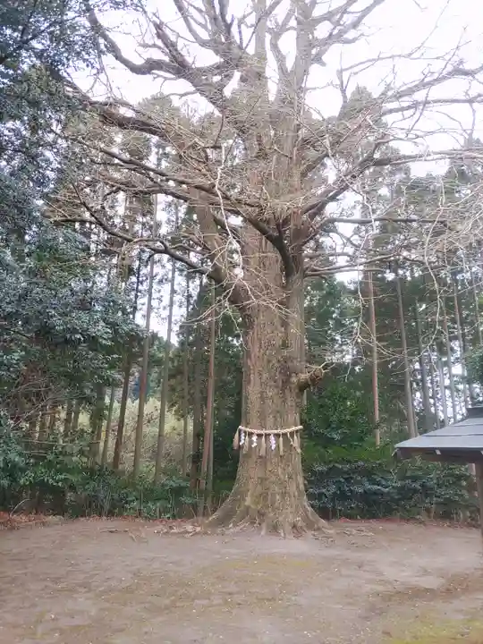 國吉神社(千葉県)
