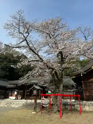 群馬県護国神社(群馬県)